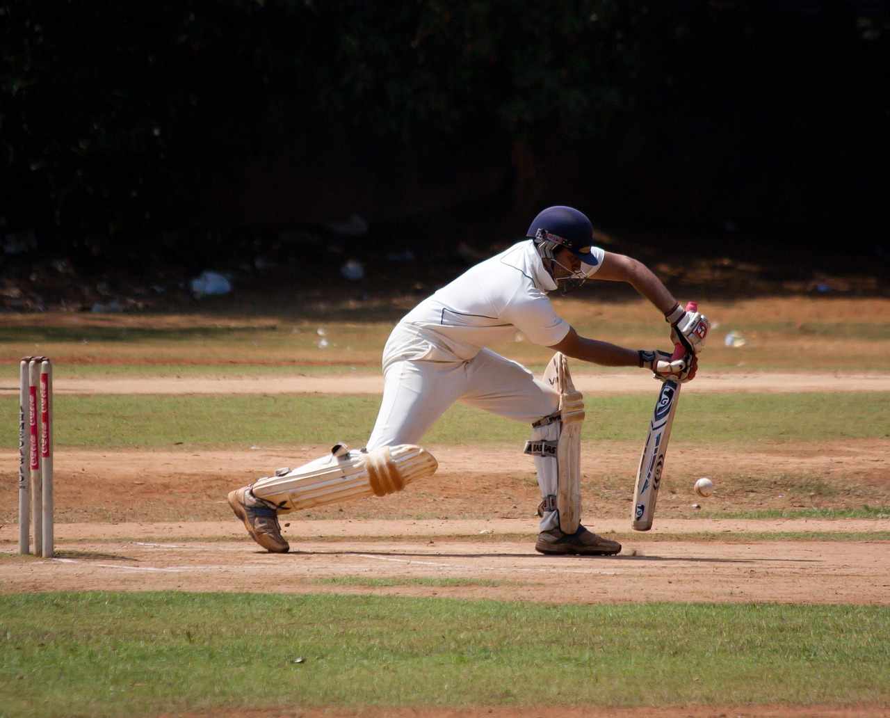 Fantasy Cricket
